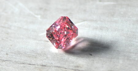 SGDX World's Biggest Collection of Australian Pinks on Display